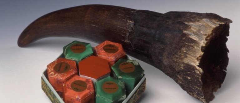 The Age of Biotech: Can Bioengineered Rhino Horns Bring An End to Poaching?