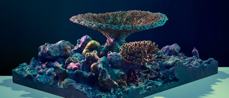 Engineers Are 3D Printing Coral Reefs to Help Save Our Oceans