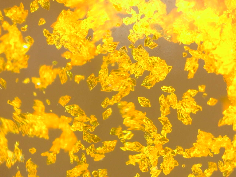 Iron Nanoparticles Could Be the Next Line of Treatment in Battling Cancerous Tumors