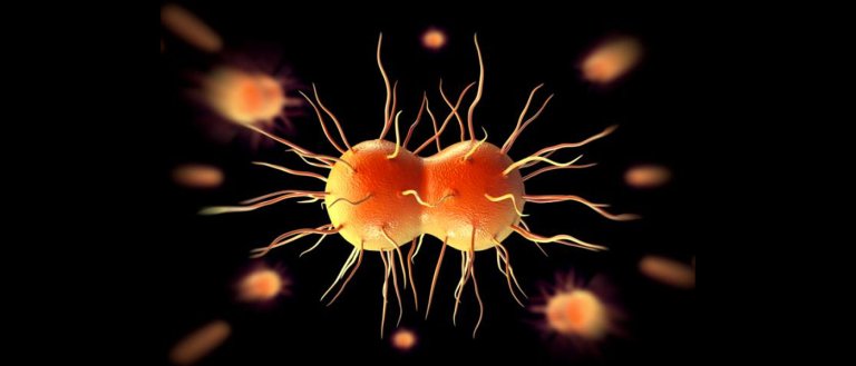 Antibiotic Resistance is Taking Away Our Last Line of Defense Against Some Diseases