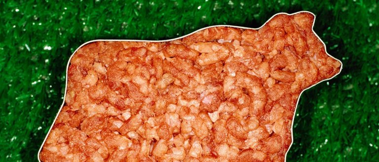 How Lab-Grown Meat Could Be the Future of Food