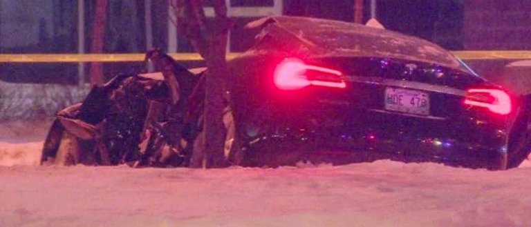 Tesla Model S Driver Dies After Crashing Into a Tree in the Netherlands