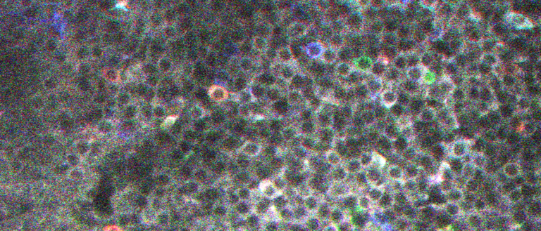 For the First Time Ever, Scientists May Have Seen Memories Being Made