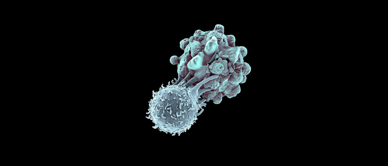 The Quest for a Cure: Immunotherapy Could Change the Tide in the War on Cancer