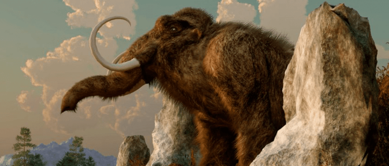 Evolution 2.0: Gene Editing Could Bring Extinct Species Back to Life