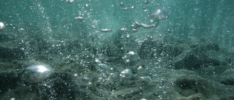 Research Finds Human Activity Has Increased Ocean Acidification