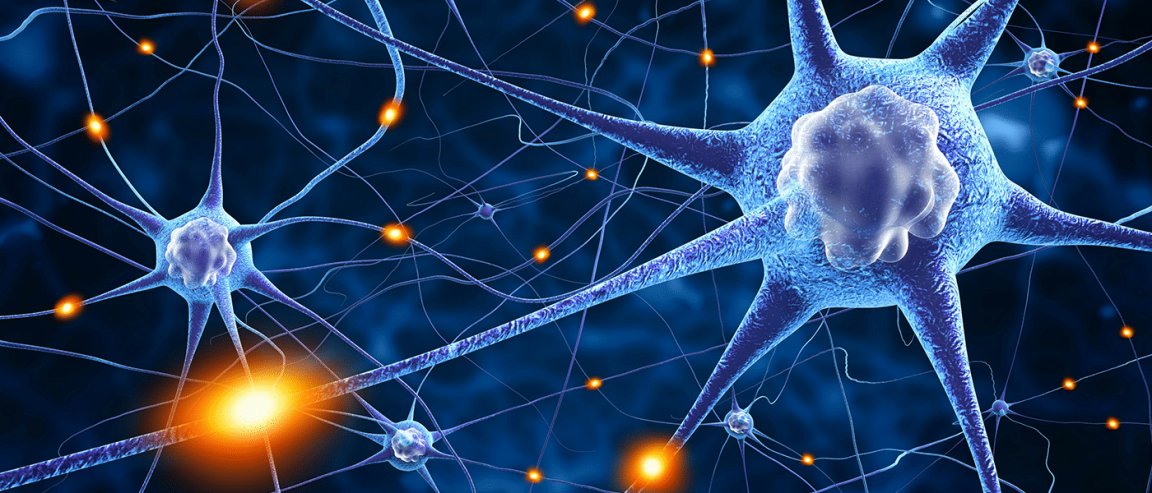 brain emulator brain computer synapses
