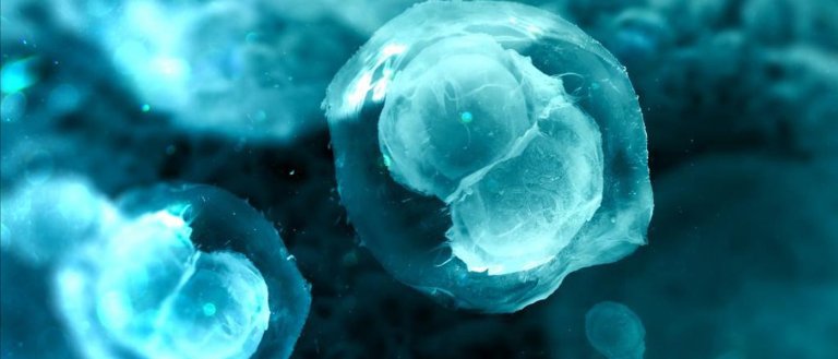 Soon We Could Have a Detailed Map of Every Cell in the Human Body