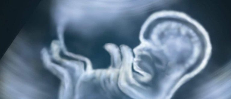Doctor’s Perform First Successful Womb Transplant in the US