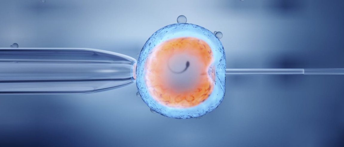 cloning artificial reproduction