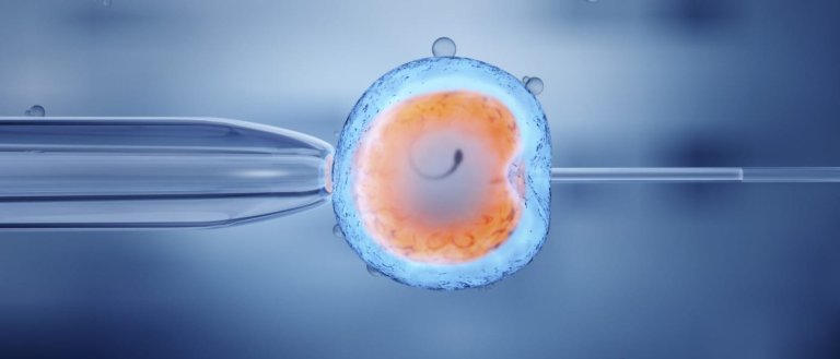 cloning artificial reproduction