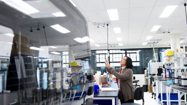 Credit: Gingko Bioworks