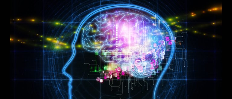 Scientists Move One Step Closer To Making an Artificial Human Brain