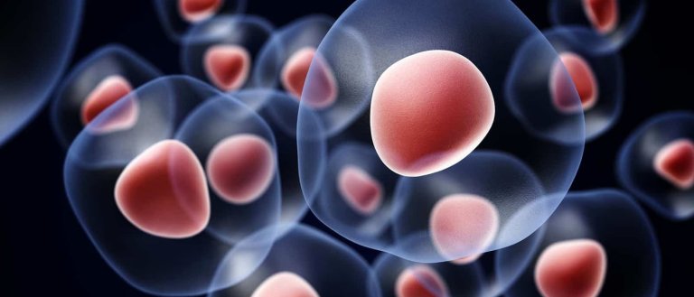 stem cell heart problems tissue regeneration