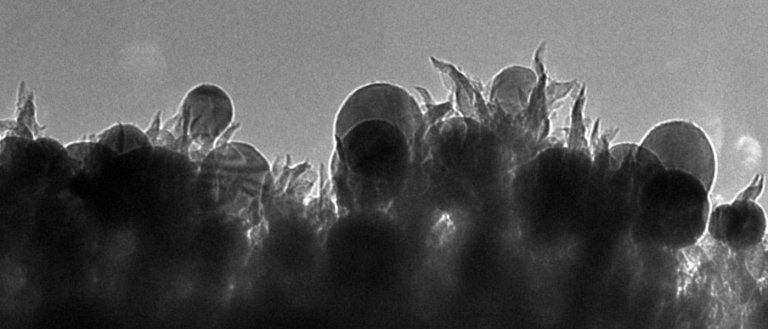 “Reversing” Combustion: We Can Now Convert Carbon Dioxide Back Into Ethanol