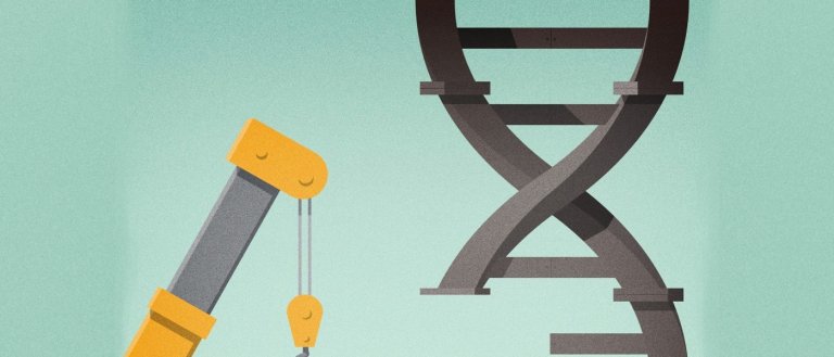 Yale Scientists Used Gene Editing To Correct a Mutation That Causes Anemia