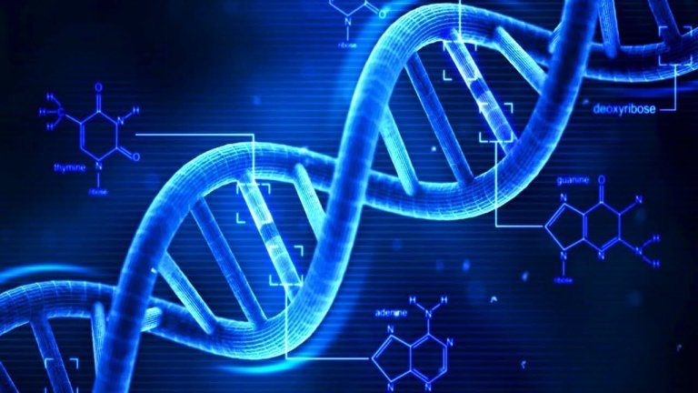 cows gene editing plasma.
