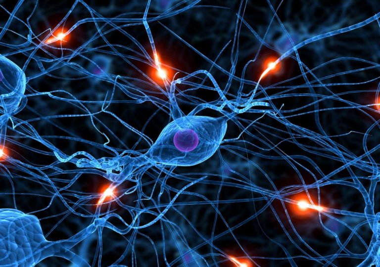 Scientists Just Made Tech That Mimics the Brain’s Building Blocks