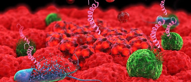 A World Without Antibiotics? The UN Has Elevated the Issue of Antibiotic Resistance