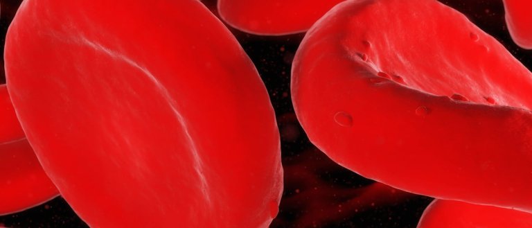 Scientists Target Protein Imbalance In Blood To Slow Aging