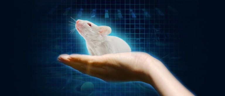 Mutant Mice: How CRISPR Can Put Genetically Modified Organisms Within Everyone’s Reach