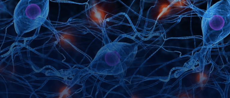 This Molecule Could Be the Key to Regenerating Human Tissue