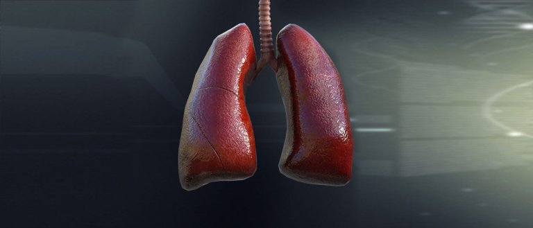 New Synthetic Human Lung Is (Quite Literally) a Breath of Fresh Air