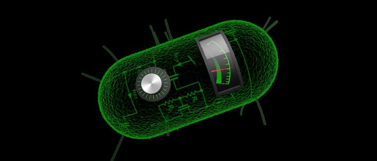 MIT Biologically Engineers a New Weapon to Kill Bacteria