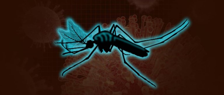 Mosquito War: Voters Approve the Release of Genetically Modified Organisms