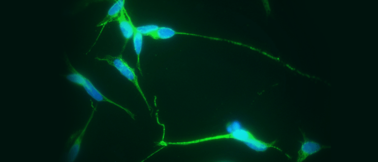 Scientists Are One Step Closer to Fully Integrating Our Bodies with Electronics