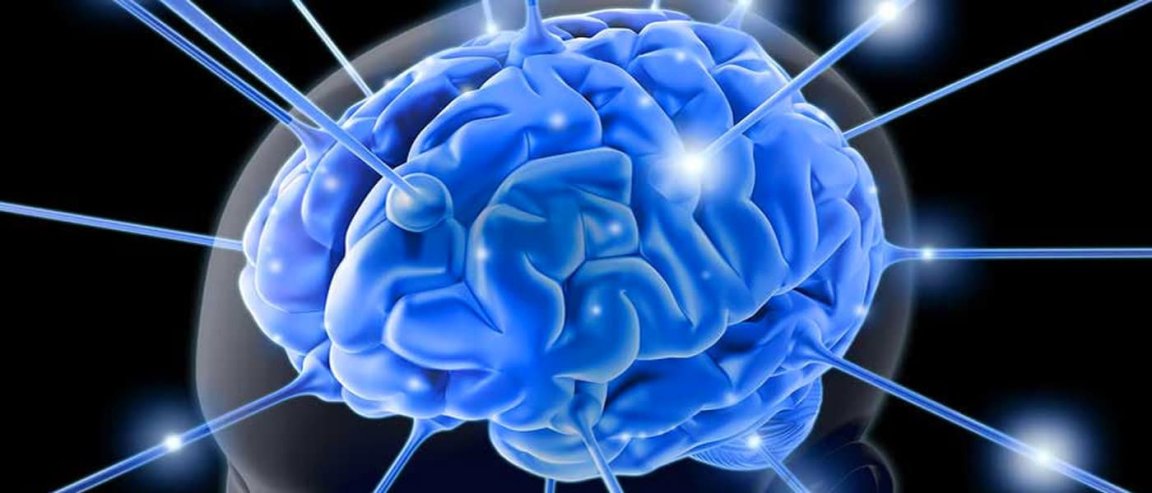 neurons neurodegenerative diseases transplant surgery