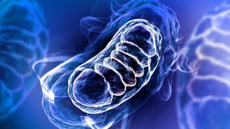 New Gene Therapy Could Eradicate Harmful Mutations Being Passed From Mother to Child