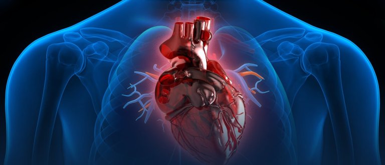Organs on Demand: Bioprinting Will Be the Answer to Donor Shortages