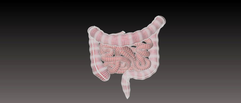 Regenerative Medicine: Scientists Have Successfully  Engineered Functioning Human Nerves