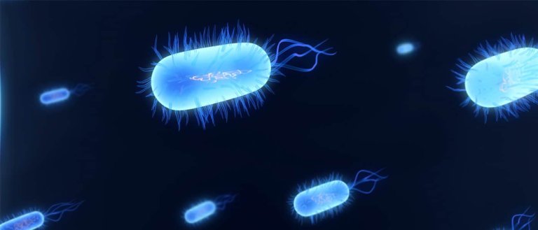 A New Way to Cure? Bacteria With Genetic Programs Are Coming To a Body Near You