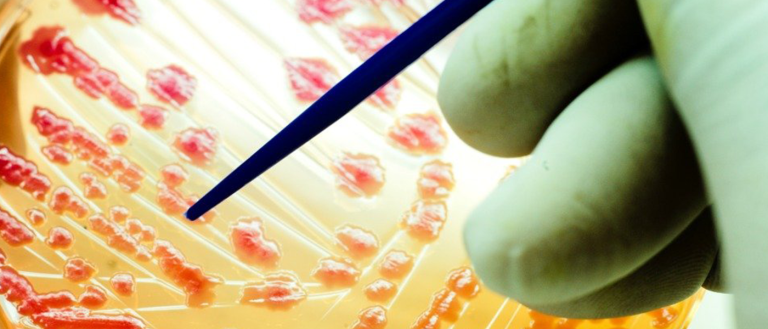antibiotic resistance antibiotics resistant pathogens