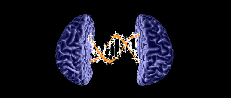 There’s More to Cancer Than Just Genetic Mutations
