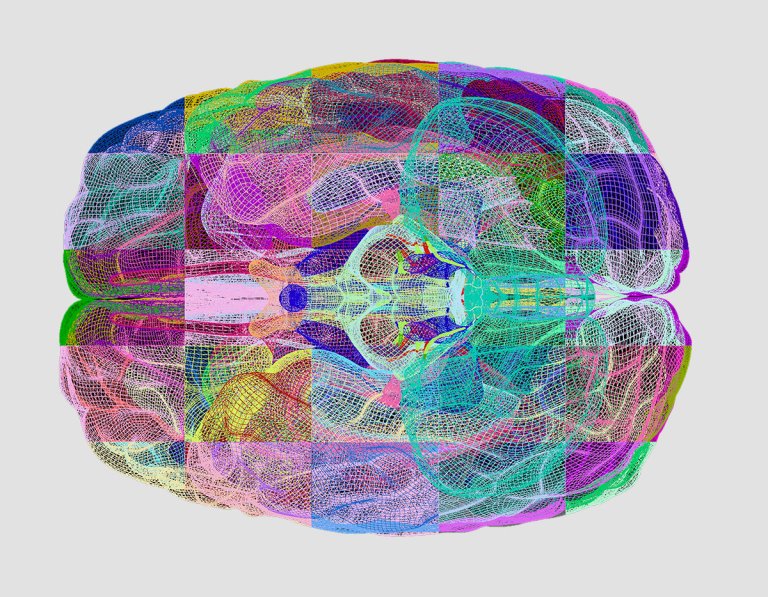 We Figured out How To “Fingerprint” the Brain, and It Could Prevent Disease