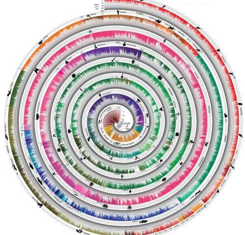 The new tree of life constructed by the researchers. Credit: Temple University