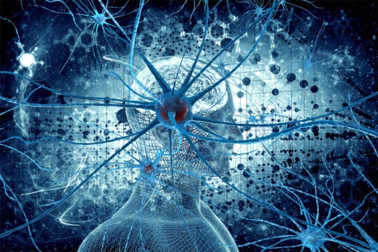 Becoming Borg: What Is a Hive Mind in Science and Could Humanity Get There?