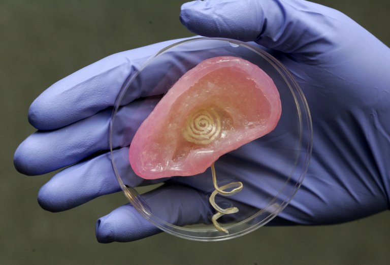 #3d bioprinting #medical #biofabrication