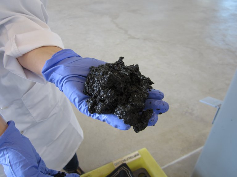 30 Million Barrels of Oil per Year Could Be Created From the United States’ Sewage