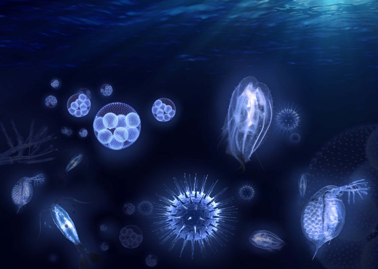 Ancient Underground Waters May be Teeming With Novel Forms of Life