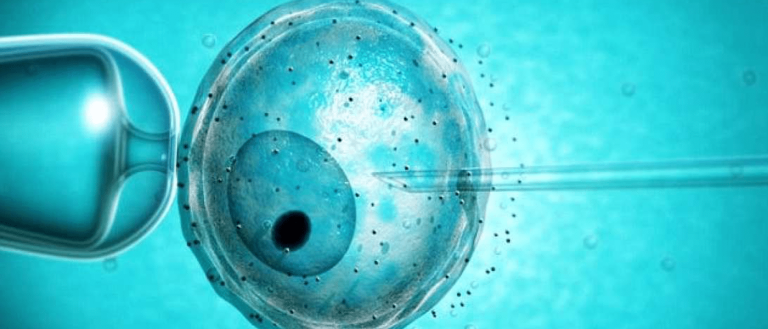 A New Age in Pregnancy: 20 More “Three-Parent” Babies Are Coming in 2017