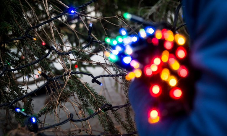 alzheimer's disease brain waves gamma oscillations