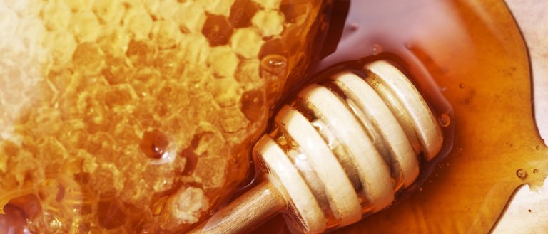 Australian Honey Proven to Be Effective Against Superbugs