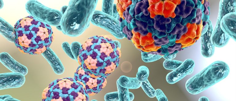 Doctors Treat a Fatal Condition Using Magnets to “Pull” Bacteria From Blood
