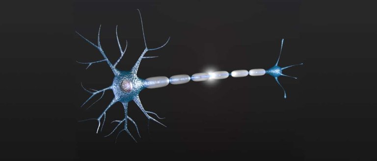 Reprogramming Stem Cells Could Soon Lead Us to a World Without Paralysis