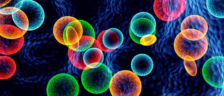 Researchers Develop Nanodiscs That Can Wipe Out Tumors