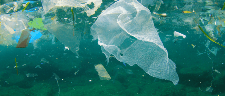 Time for Action: There Are 5.25 Trillion Pieces of Plastic Polluting Our Oceans